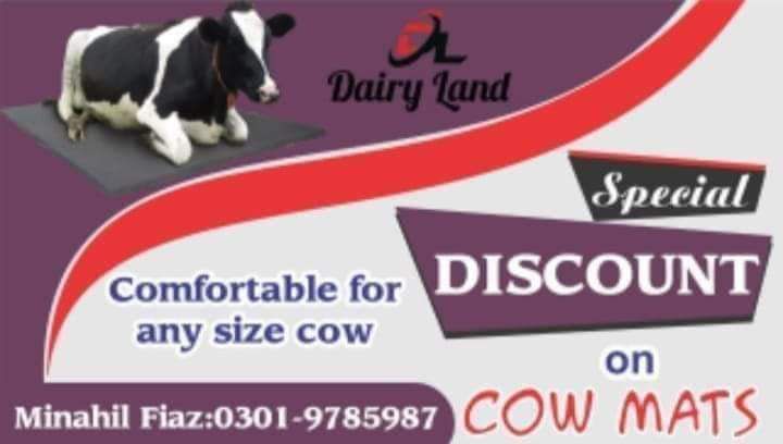 Dairy Farm Products