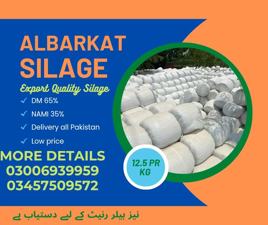 Silage for sale