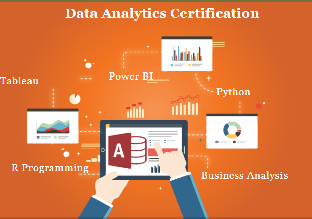 Data Analytics Certification Course in Delhi,11002